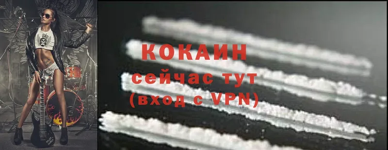 закладка  kraken как войти  Cocaine Перу  Татарск 